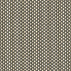Taupe Taupe
